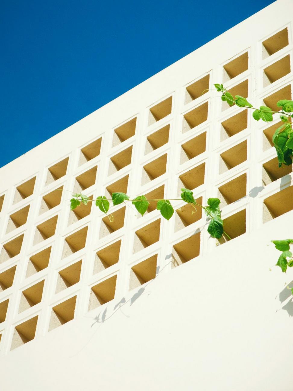 Commercial project